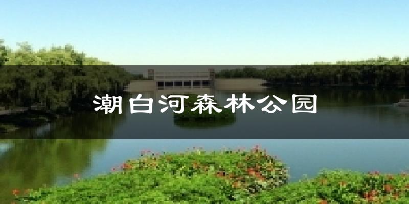 潮白河森林公园天气未来15天