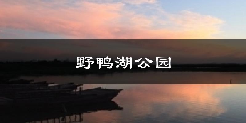 野鸭湖公园天气未来15天