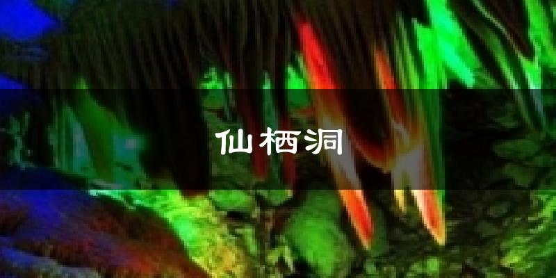 仙栖洞天气未来15天