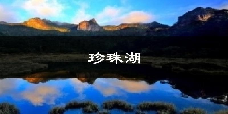 珍珠湖天气未来15天