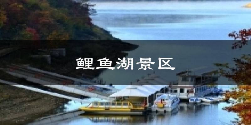 鲤鱼湖景区今日天气