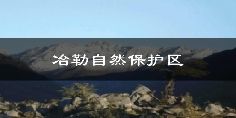 冶勒自然保护区气温