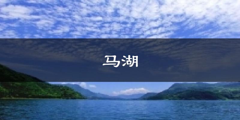 马湖今日天气